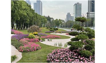 來現(xiàn)場打卡，感受“美麗無錫”的美好